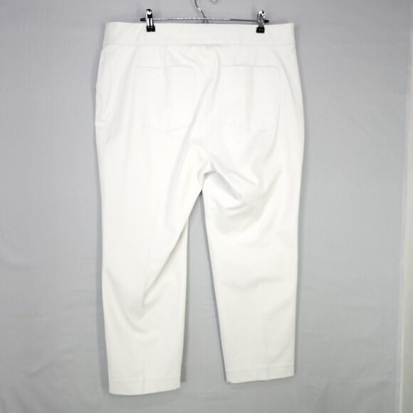 Spanx Ankle Straight Pants Plus Size 2X Silver Lining On The Go Body Shaping - Picture 3 of 16